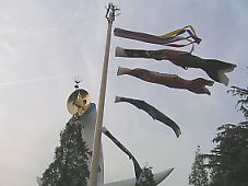 4336bc16.jpg