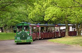4607249e.jpg