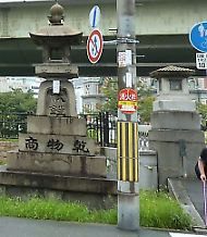 t_t_P1180592