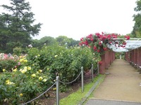 ft_P1080191