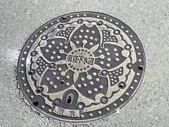 t_P1100641 雨水のマンホールの蓋