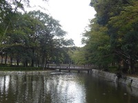 bt_P1040919