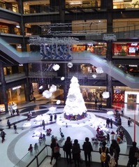t_P1050961
