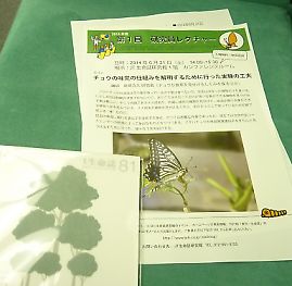 t_P1150078