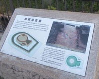 t_P1060074