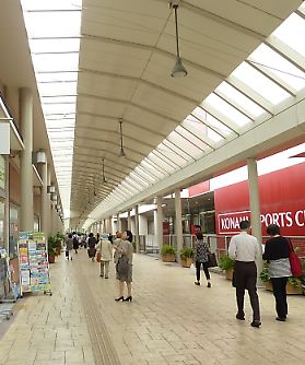 t_P1170828