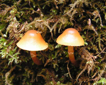 7e2d09f9.jpg