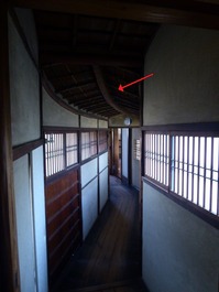 t_P1000813