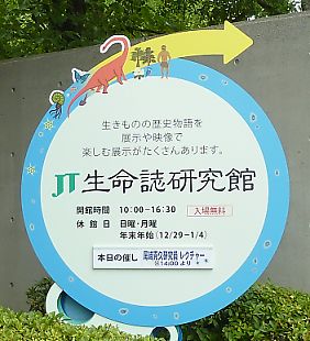 t_P1150069