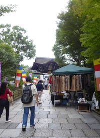 t_P1090506