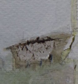 t_P1060532