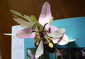 t_P1010283