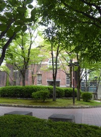 t_P1090637