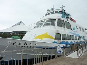 t_P1170061