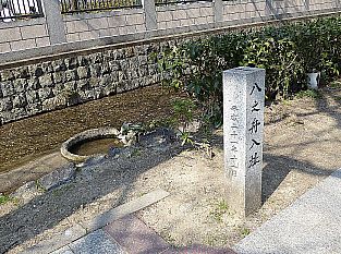 t_ft_P1010545