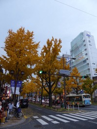 t_P1110280