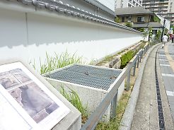 t_P1180501