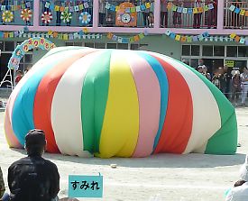 t_P1160198
