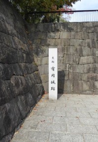 t_P1110076