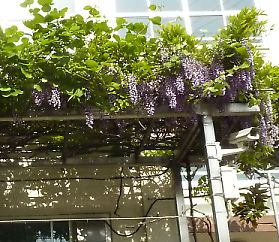 t_P1110153 b
