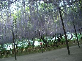 b3f6b211.jpg