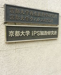 t_P1150269