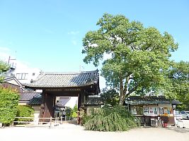 bt_P1180838
