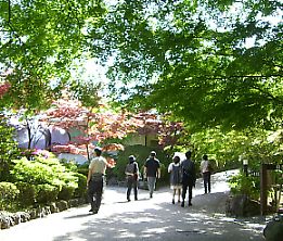 c6f0201d.jpg