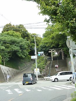 bt_P1170895