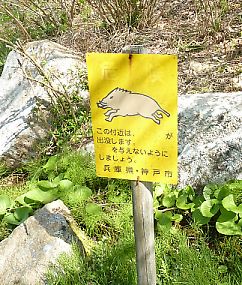 t_P1130986 猪危険標札