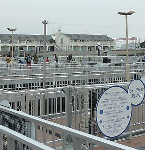 t_P1170064