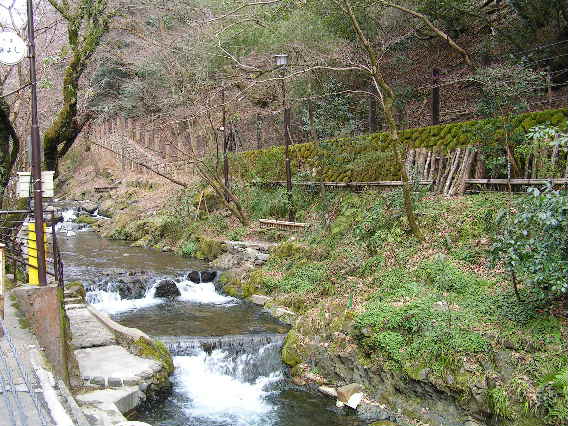 d5969452.jpg