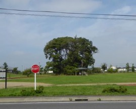 t_P1040622