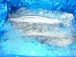 bt_P1180685