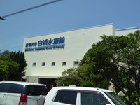 t_P1090096