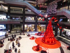 t_P1110232