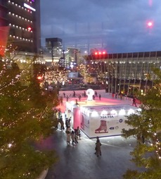 t_P1110228