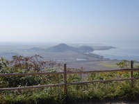 t_P1050656