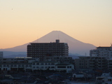 783b2399.JPG