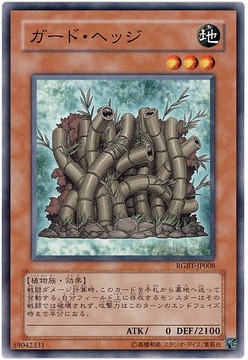 card1003284_1