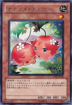 STBL-JP030R