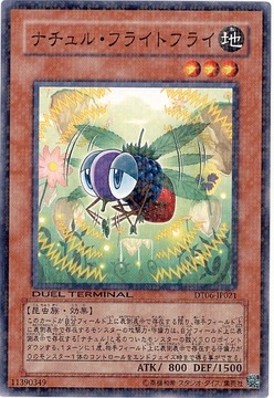 card73708443_1