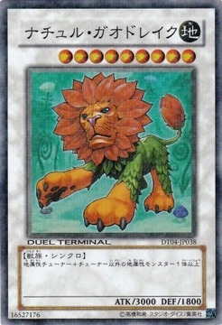 20090118130722