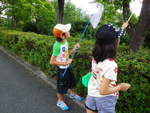 2014_07270062