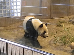 2012_02191月1日 0110