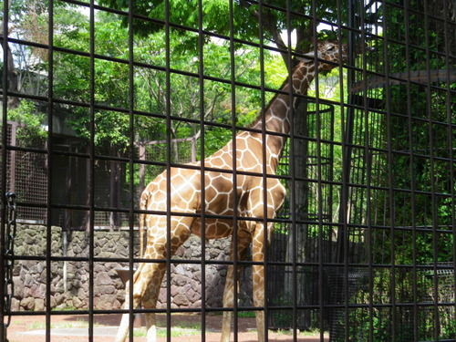 2014_05050023
