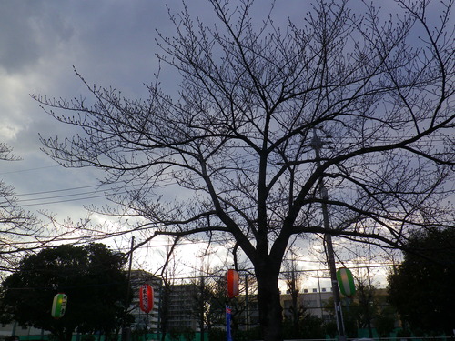 2014_03230013