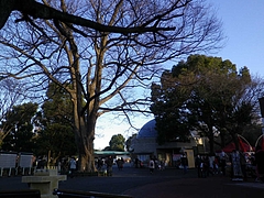 2012_02191月1日 0106