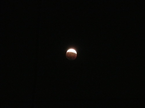 2014_10080018