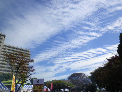 2015_11210036
